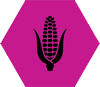 Ethanol